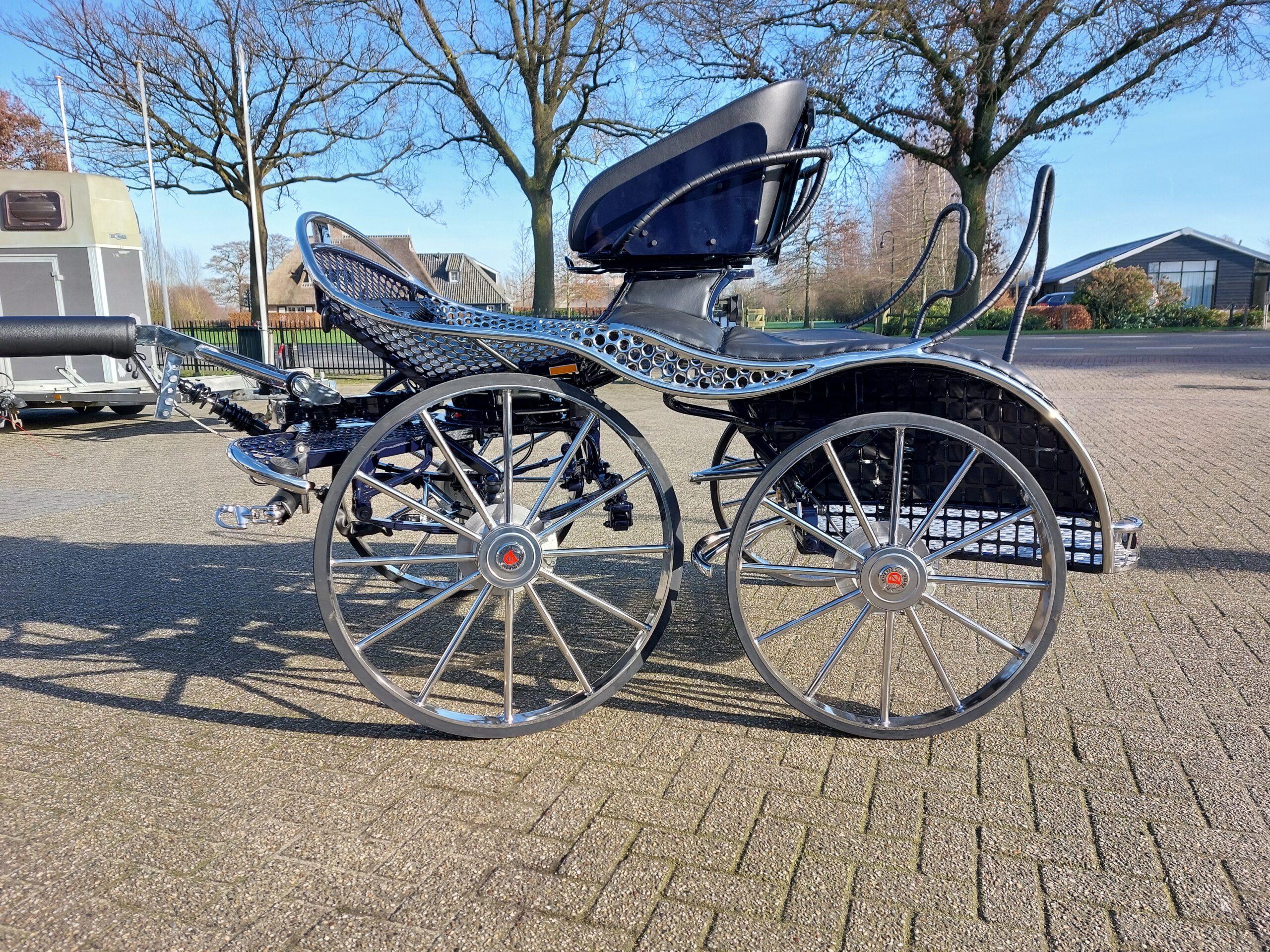 20220212_111516 De Lemerij marathonkoets