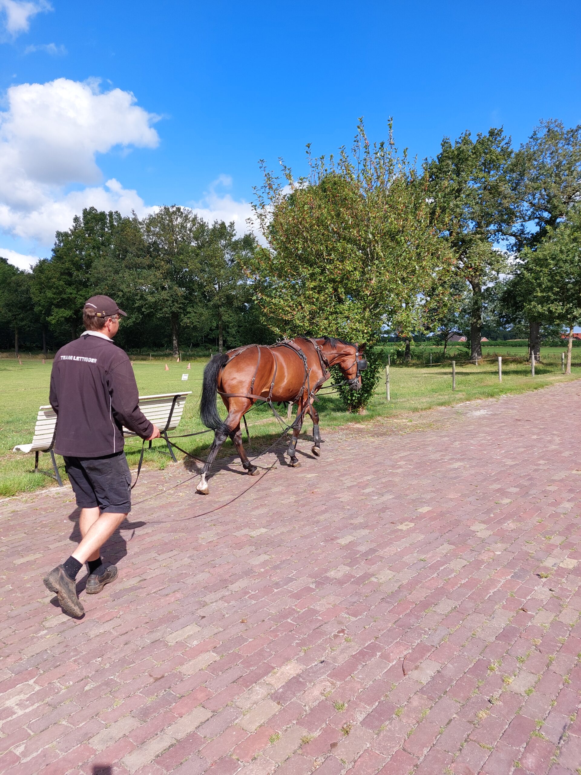 20220716_094918 Africhting menpaard